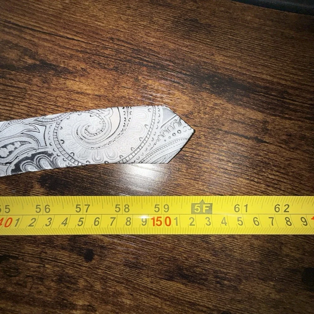 Hi-Tie‎ Grey Silver Paisley 100% Silk Necktie Men's Classic Formal Wedding